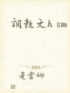调教文h sm
