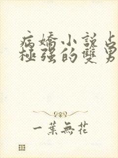 病娇小说占有欲极强的双男主