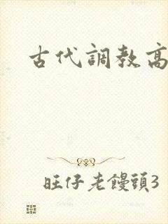 古代调教高h文