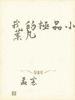 我的极品小姨 叶凡