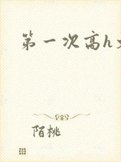 第一次高h文