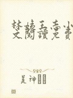 林姨王志小说全文阅读免费