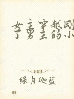 女主穿越刚好救了男主的小说