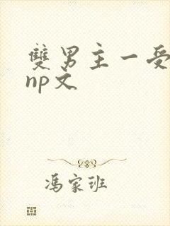 双男主一受多攻np文