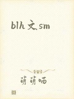 blh文sm