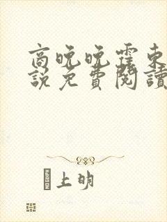 商晚晚霍东铭小说免费阅读笔趣阁