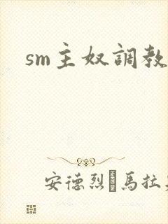 sm主奴调教文封面