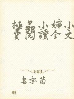 极品小婶小说免费阅读全文封面