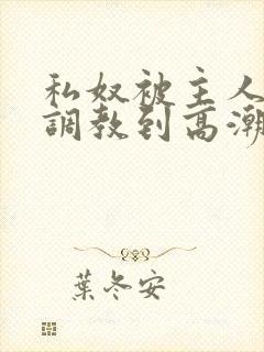 私奴被主人玩弄调教到高潮