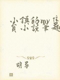 小镇的mv售票员小说笔趣阁