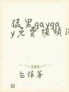猛男gaygay免费视频网站v