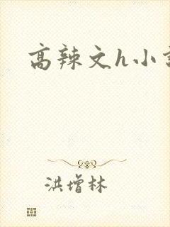 高辣文h小说网封面