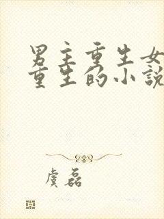 男主重生女主没重生的小说