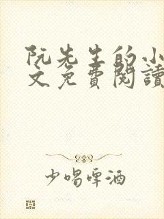 阮先生的小说全文免费阅读无弹窗