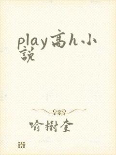 play高h小说