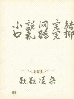 小说网完结文一口气听完柳如烟封面