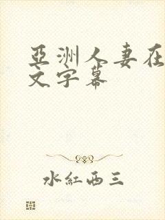 亚洲人妻在线中文字幕