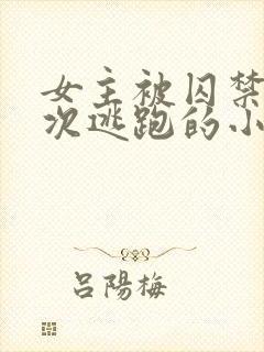 女主被囚禁并多次逃跑的小说