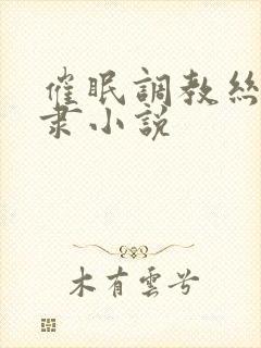 催眠调教丝袜奴隶小说