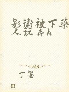 影卫被下药后遭人玩弄h