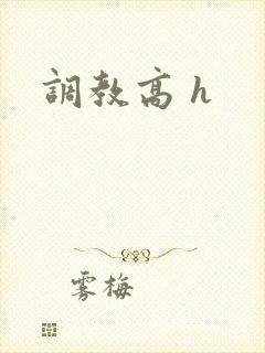 调教高 h