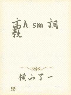 高h sm 调教