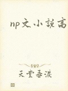 np文小说高h