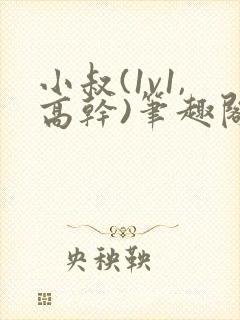 小叔(1v1,高干)笔趣阁小说