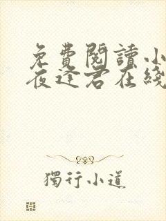 免费阅读小说此夜逢君在线阅读全文