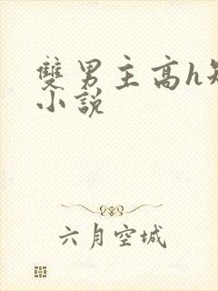 双男主高h短篇小说封面