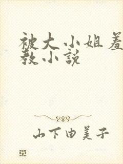 被大小姐羞耻调教小说