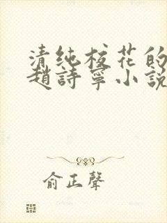 清纯校花的堕落赵诗宁小说全文免费封面