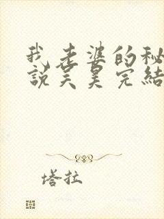 我老婆的秘密小说吴昊完结版