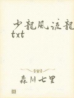 少龙风流龙剑飞txt