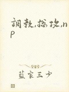 调教,总攻,np