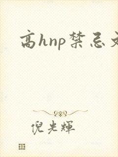 高hnp禁忌文