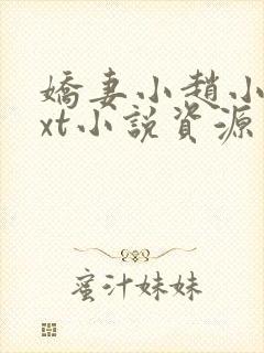 娇妻小赵小说txt小说资源