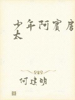 少年阿宾房东太太