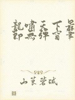 龙啸天下最新章节无弹窗笔趣阁
