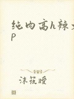 纯肉高h辣文np