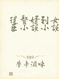 从赘婿到女帝宠臣小说小说