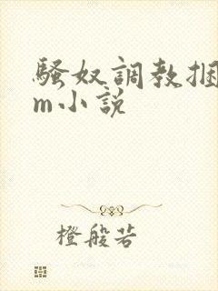 骚奴调教捆绑sm小说