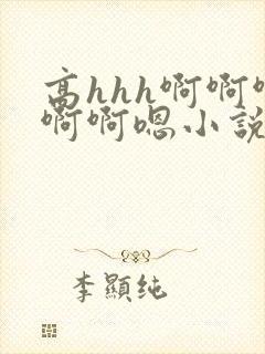 高hhh啊啊啊啊啊嗯小说封面
