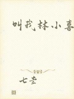 叫我林小喜封面