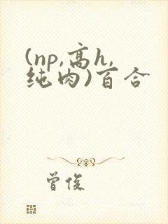 (np,高h,纯肉)百合