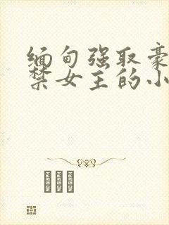 缅甸强取豪夺囚禁女主的小说