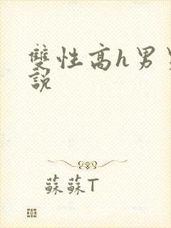 双性高h男男小说