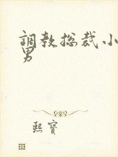 调教总裁小说男男