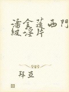 潘金莲西门庆一级淫片