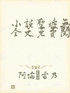 小说圣墟无弹窗全文免费阅读